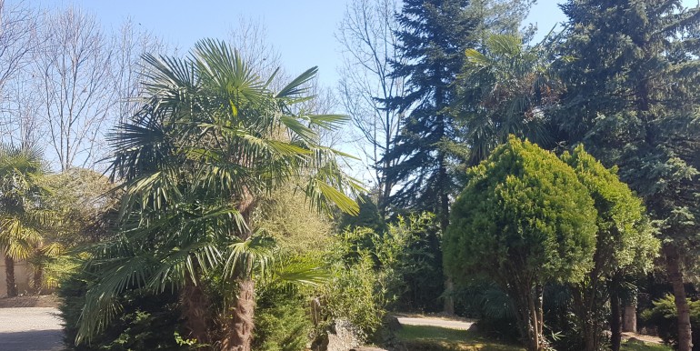 20190321_130226